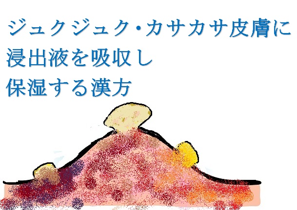 ジュクジュク・カサカサ皮膚に漢方